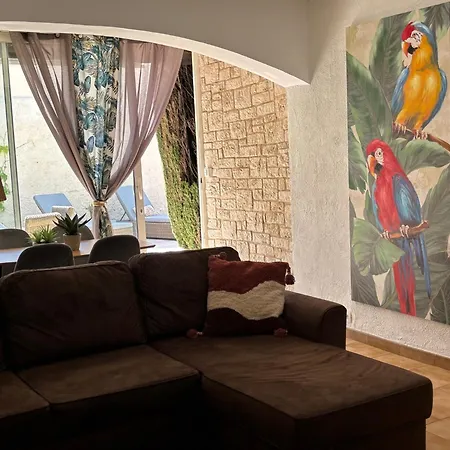 Appartement Cosy Avec Piscine ,parking Et Jardin Villeneuve-lès-Avignon