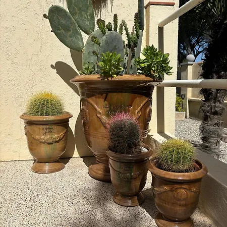 Appartement Cosy Avec Piscine ,parking Et Jardin