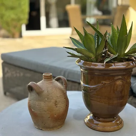 Cosy Avec Piscine ,parking Et Jardin Villeneuve-les-Avignon